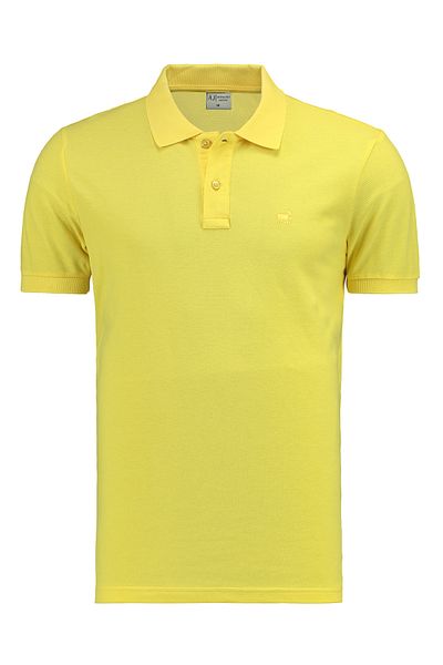 ANTHONY JACKSON Premium Men's Polo Neck T-Shirt Giorgio