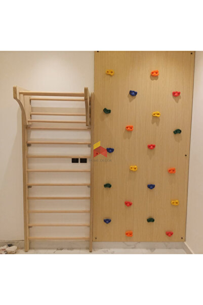 Home Decor Climbing Wall With Swedish Ladder And Safety Mattress | Combo | BASIC MODEL