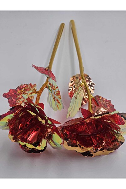 yapay çiçek evi 2 Adet Kırmızı Hologramlı Sonsuzluk Gülü Özel Gün çiçeği Hediyelik Süs Eşyası