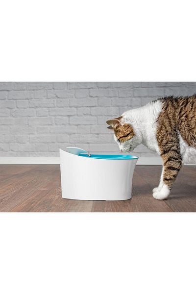 İstangül Butik Automatic Alert Cat Dog Water Bowl