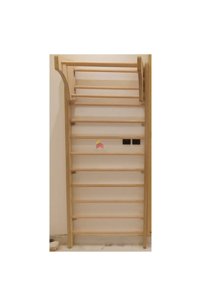 Home Decor Climbing Wall With Swedish Ladder And Safety Mattress | Combo | BASIC MODEL