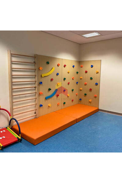 Home Decor 3 Panels of Climbing Wall with Swedish Ladder Combo | Basic Model