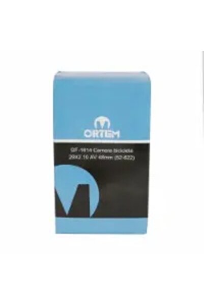 divendi-ro Bicycle camera 29X2.10 AV 48mm (52-622)