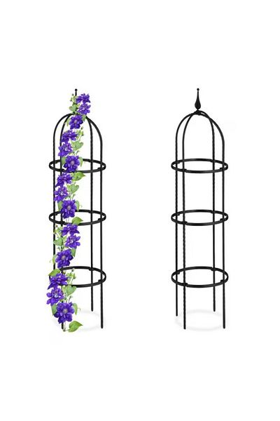 Kardett Set of 2 Metal Supports 150cm for Flowers, Vines, Climbing Plants, Obelisk, Garden Frame