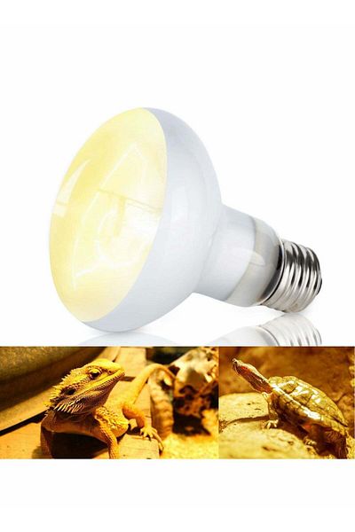 Generic Captaintech Heat Lamp, Basking Bulb for Bearded Dragon, UVA Reptile Heat Lamp Bulbs for Pet/Amphibi