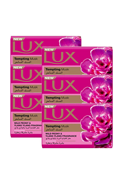 LUX صابون المسك المغري، 170 غرام × 5+1