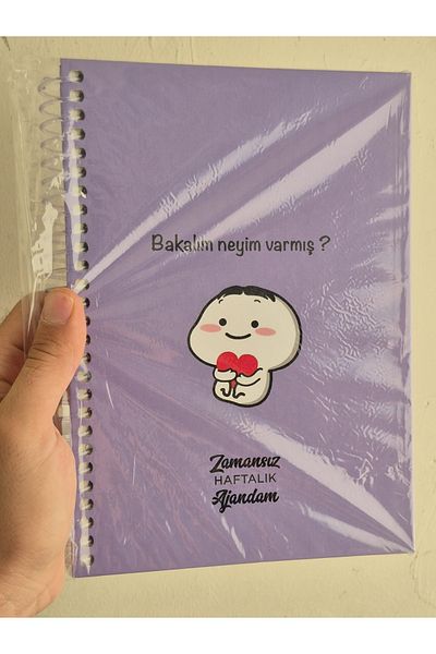 mcolor Timeless Weekly Sticker, Illustrated, Colorful Spiral Hard Cover Agenda 17X24 cm