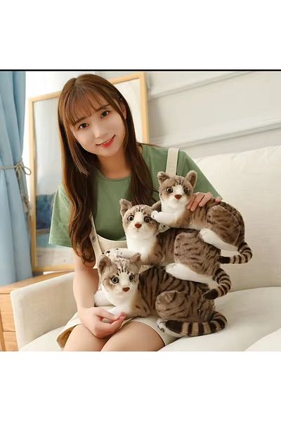 charmerprincesses Real Tabby Cat Plush Toy 25cm Sitting Tabby Cat Plush Cat Imported Product Double Color