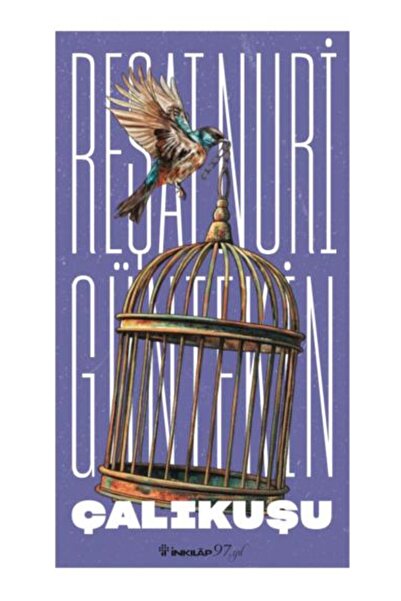 İnkılap Kitabevi Çalıkuşu (Yeni Kapak)