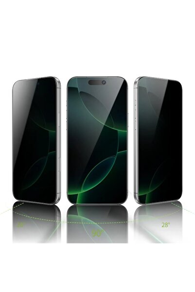 Green Lion واقي شاشة دييغو بيت للخصوصية لجهاز آيفون 17 - أسود