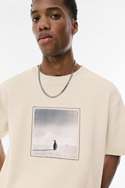 Pull & Bear Short sleeve penguin sweatshirt