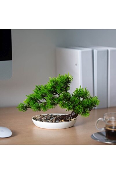 CLICK Plantă artificială decorativă, pin japonez negru, 25 x 18 cm