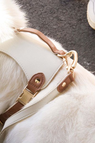 ANIMALIQUE Leather Harness for Dogs