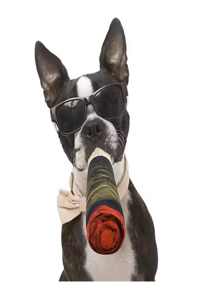 NO BRAND Jucarie interactiva haioasa caini tip tigareta multicolora