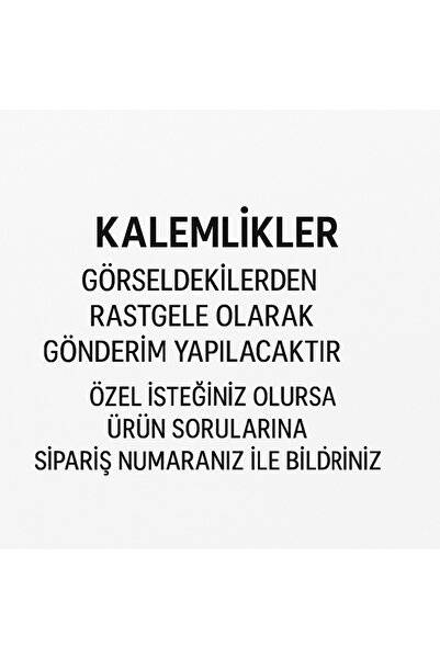 Silmarillion Double Compartment Figured Pen Holder + 12 Crayons Middle School Elementary School Preschool High School Children Teenager