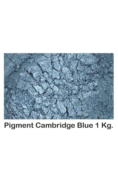 OEM Pigment Metalic Cambridge Blue 1 Kg
