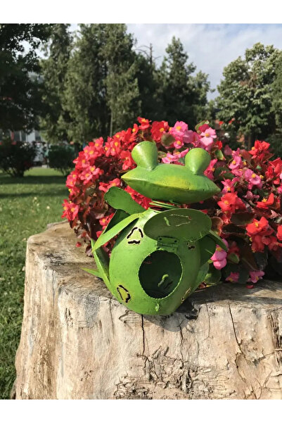 OEM Garden decoration Frog with guitar 22x19x20 cm