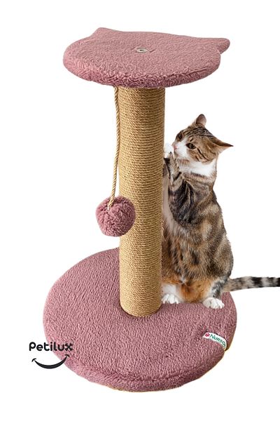 Petilux Jute Drawstring Single Scratching Post with Cat Head Figure Step Top