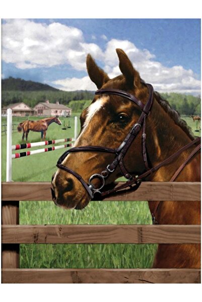 Royal Prima pictura pe numere junior mica - In padoc