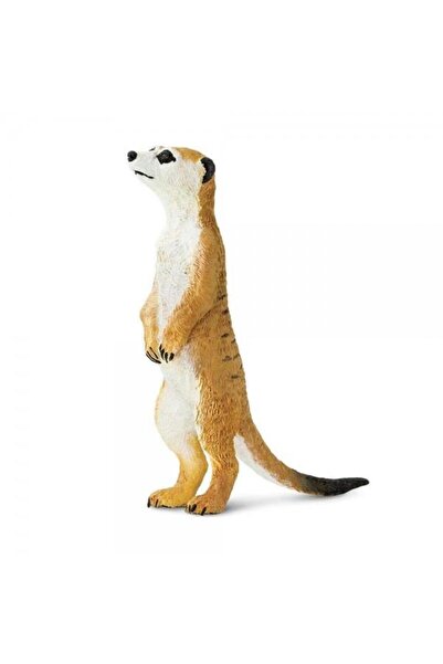Safari Suricata