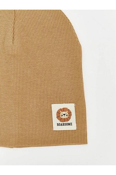 LC Waikiki Embroidered Baby Boy Beanie 2-Piece (W5)