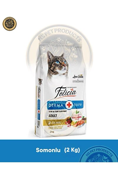 Felicia Derma Care Adult Salmon-Collagen 2 kg (Az Tahıllı & Hipoalerjenik Som...