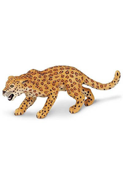 Safari Leopard (saf271529)