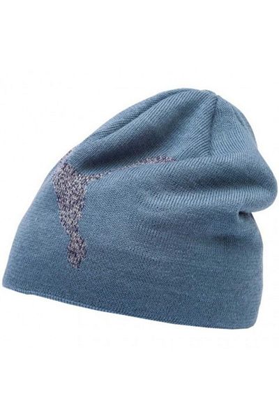 Puma Fes Ess Logo Beanie Big Cat