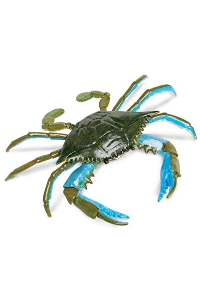 Safari Crab albastru