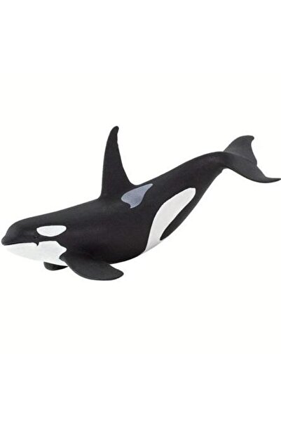 Safari Orca D (subantarctica)
