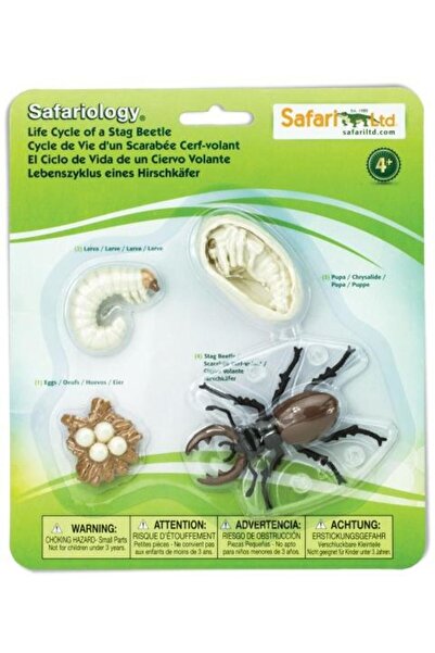 Safari Ciclul vietii la radasca