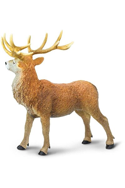 Safari Cerb rosu (181929)