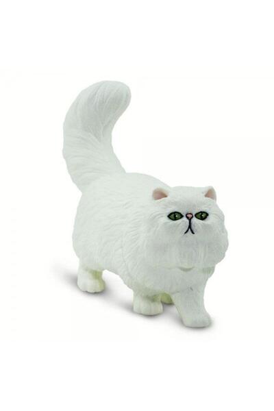 Safari Pisica persana