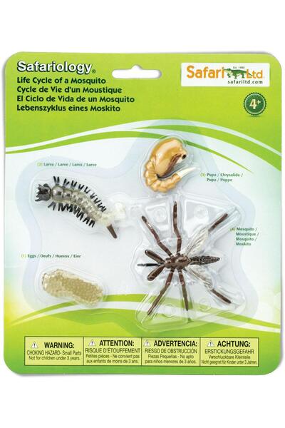 Safari Ciclul vietii la tantar