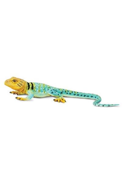 Safari Soparla inelata