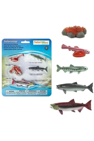 Safari Ciclul vietii la somon