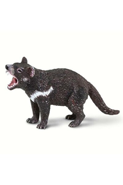 Safari Diavol tasmanian