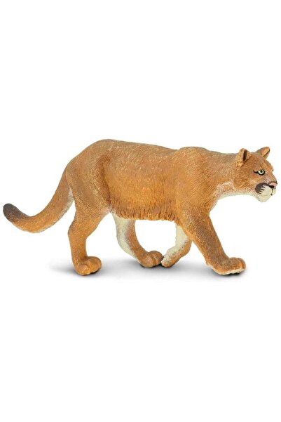 Safari Puma (saf291829)