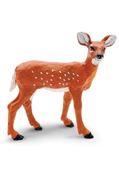 Safari Pui de caprioara cu coada alba