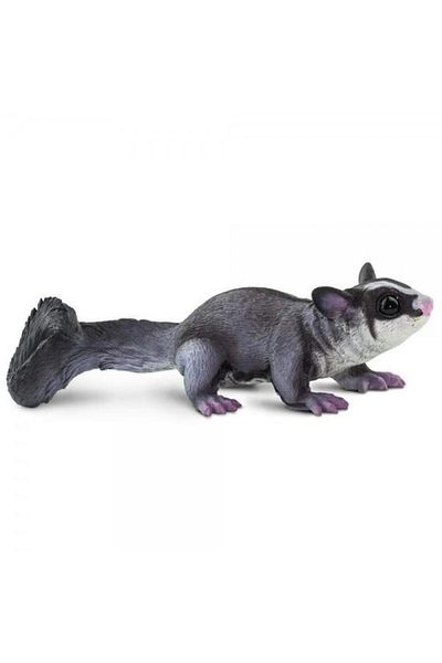 Safari Marsupial squirrel