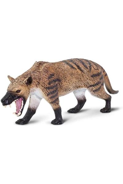 Safari Hyaenodon