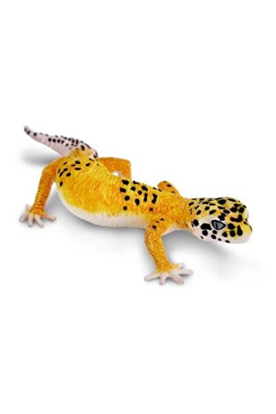 Safari Gecko leopard
