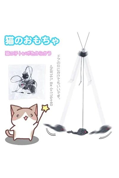 Choice Floor Macka Game - Insensitivity Reducing Life Life Fish in Focus