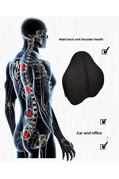 Viscomina Orthopedic Waist Cushion Back Cushion Auto Vehicle Cushion Chair Cushion (orthopedic Product) Black Color