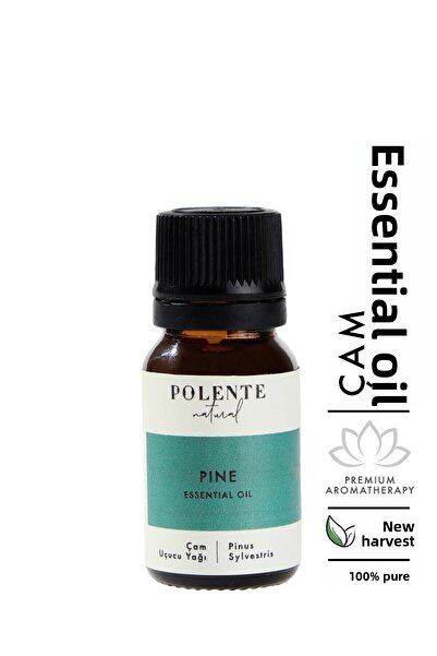 Polente Natural 10 مل زيت منجم - أساسي من الصنوبر
