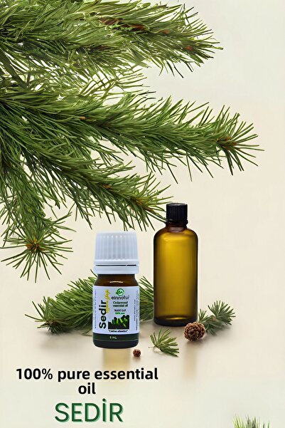 EinNatur زيت سيدروس أتلانتيكا العطري - 5 مل، نقي 100%، زيت الأرز العطري