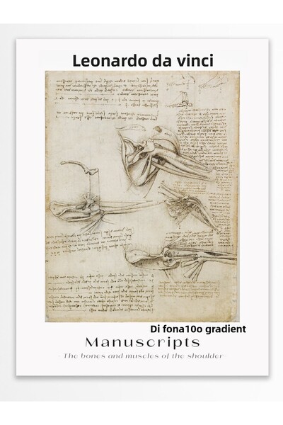 Postifull Αφίσα τοίχου Leonardo Da Vinci - Διακόσμηση τοίχου - Αφίσες σειράς ...