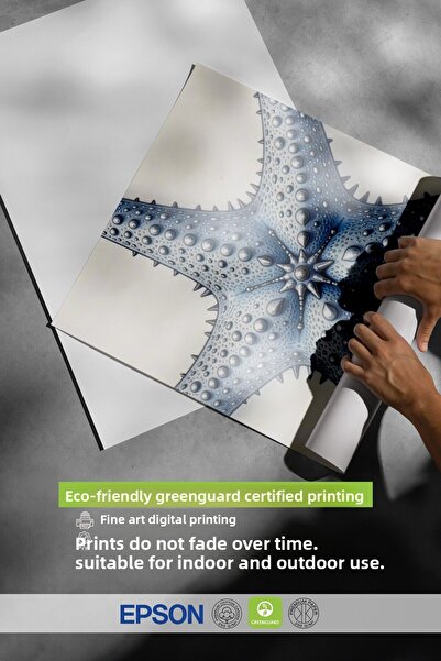 Postifull Black Framed Poster, Starfish, Illustration, Blue Color Poster, Summer Selection 2025, No:109667