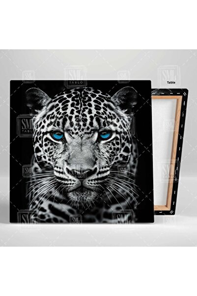 SML TABLO Харизматичен синеок тигър - квадратен печат на платно