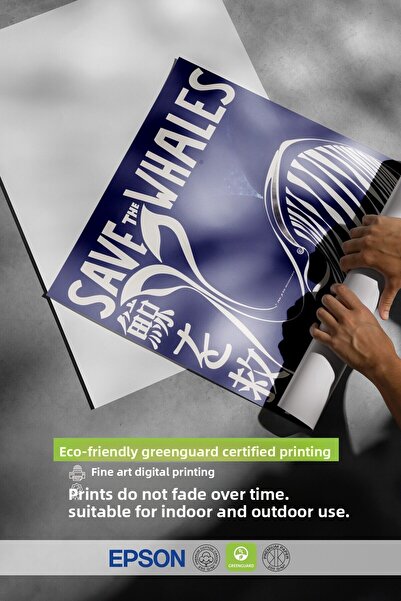 Postifull White Framed Painting, Save the Whales, Comfort Series Kitchen Wall Painting, No:108974